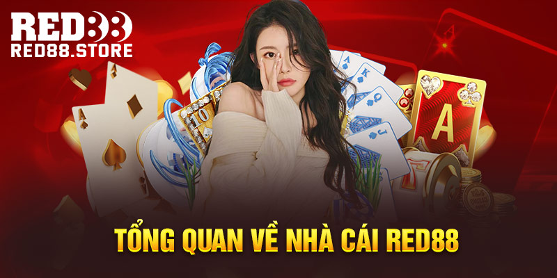 Chương trình này được cung cấp cho người chơi khi chơi các trò chơi cấp độ Dk88 có giá một đô la - Dk88