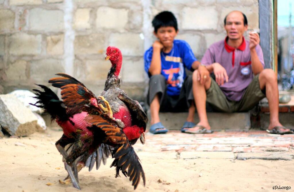 Lợi ích khi đăng nhập vào 22Bet bằng điện thoại di động - 22Bet