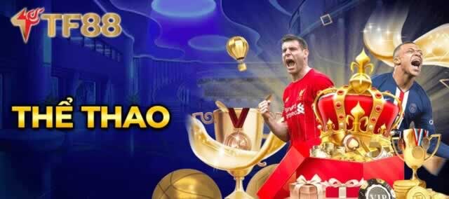 Zm88: Một giao diện khoa học và trang nhã - Zm88