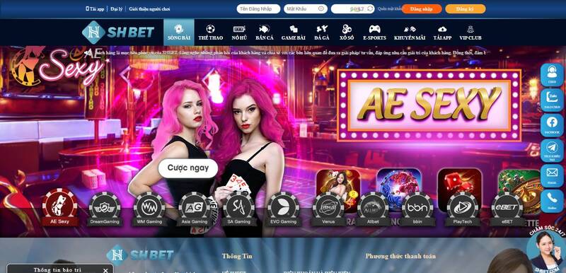 D9bet tập hợp tất cả các khu cắm trại nổi tiếng và được yêu thích - D9bet