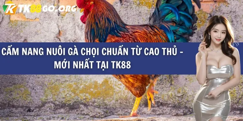 Game hay nhất trên nền tảng Lk88 - Lk88