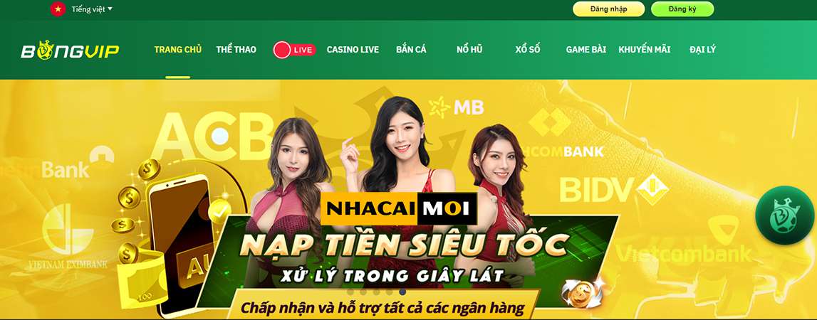 Chúng tôi tự hào giới thiệu một nhà cung cấp dịch vụ trực tuyến hàng đầu và uy tín, được xếp hạng 88Bet - 88Bet