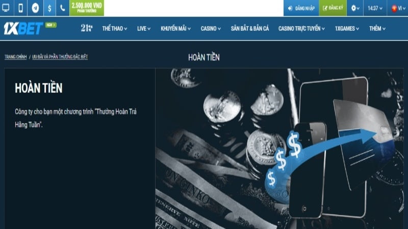 Các tùy chọn di động 12Play luôn sẵn sàng - 12Play