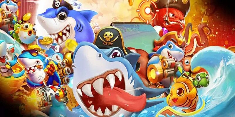 Tôi có thể vào Ok33 bằng cách nào? - Ok33