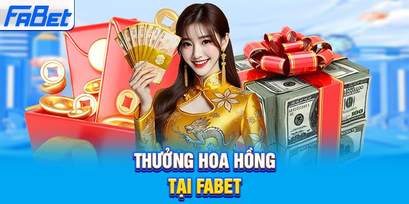 Dịch vụ chuyên nghiệp cấp Haywin - Haywin