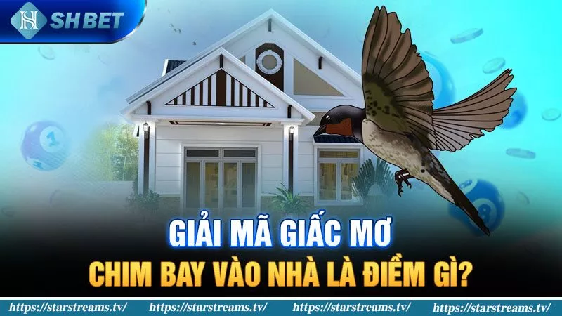 Nền tảng ứng dụng Sin88 - Sin88