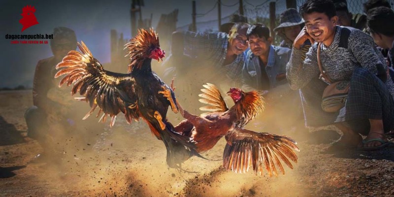 Tổng quan dữ liệu Vin777 tháng 11 năm 2026 - Vin777