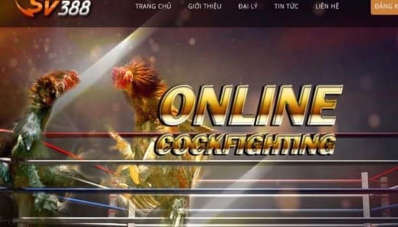 Các sòng bạc trực tuyến được xếp hạng N88 cung cấp các trò chơi giải trí chất lượng cao - N88