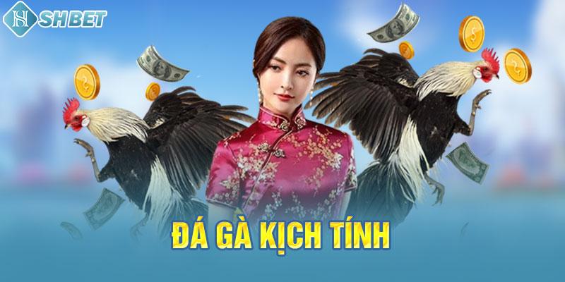 Vb68 Online cung cấp rất nhiều trò chơi bài khác nhau - Vb68