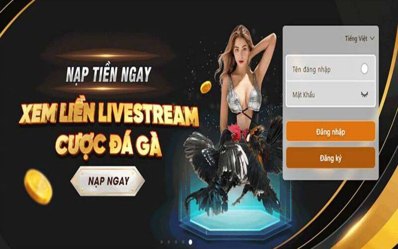 Môi trường nền tảng 88Xeng - 88Xeng