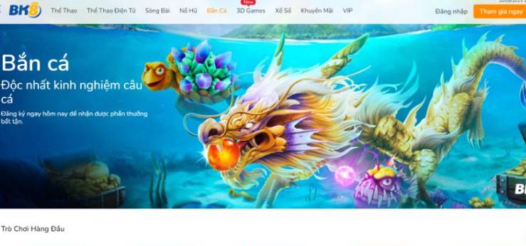 Thông tin quan trọng về B8b - B8b