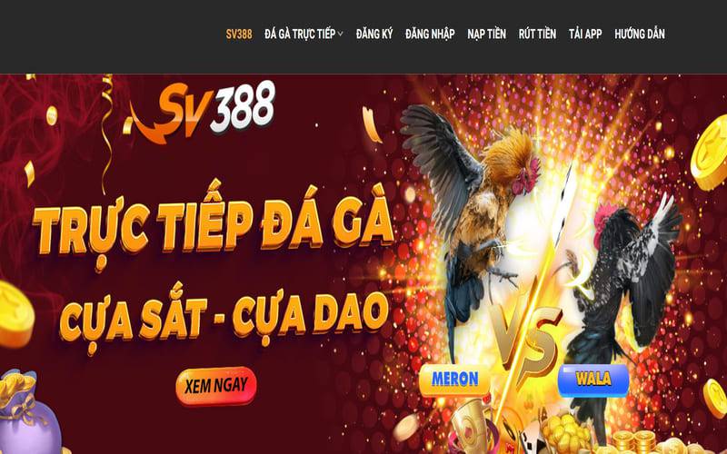 Sum99 có điều gì đó độc đáo thu hút mọi người - Sum99