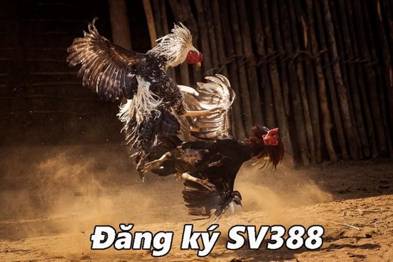 Các nhà môi giới Gg88 kiếm tiền tại nhà - Gg88