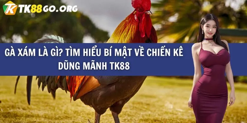 Game bắn cá đỉnh cao chinh phục đại dương - Dd7
